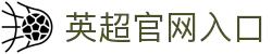 英超联赛-英格兰足球超级联赛官方中文网站